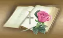 The Word