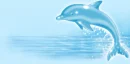 Dolphins