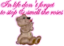 Stop & smell the Roses