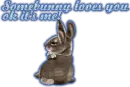 Somebunny loves you