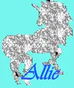 Allie Horse