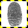 CSI Fan