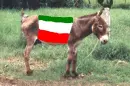 Dominic the Donkey
