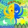 Smaller Gemini octopus