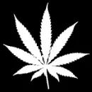 WEED