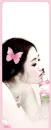 pink butterfly