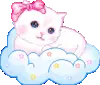 cute cat
