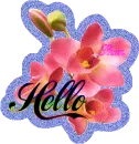 Hello