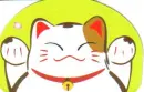 Kitty