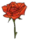 Glitter Rose.