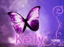 butterfly name