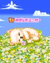 cute kawaii lil kitty cat
