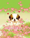  	cute kawaii lil puppy dog