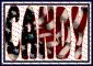 AMERICAN FLAG