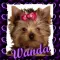 WANDA
