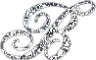 B.
