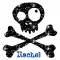 Rachel skull
