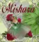 mishara