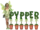 pypper