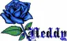 this is for you Neddy