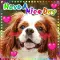 cute dog animation