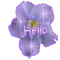 Hello