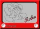 ROBIN-Etch a fae