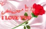 afg pashtoon