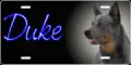 Duke
