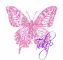 Tulip butterfly