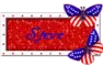 Steve  4th of July 