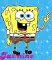 ponge bob