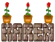 KAREN blooming roses on a brick wall