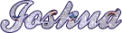 Joshua