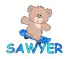 Sawyer