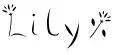 Lily Name
