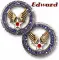 Air Force Core Value Coins (with sparkles)- Edward