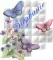 STEPHANIE--BUTTERFLY