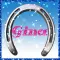 Silver Horseshoe (glitter boarder & sparkles)- Gina