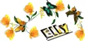 elly
