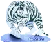 White tiger - Alaina