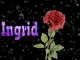 Ingrid-Rose