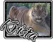 Krista Tiger 2
