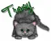 Tracy