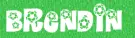 Brendin