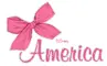Anerica