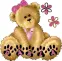 Brown bear with Darla name