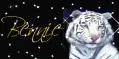 White Tiger Tag (blue eyes) with sparkles- Bennie