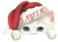 CAT IN SANTA HAT