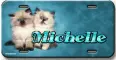 Michelle license plate